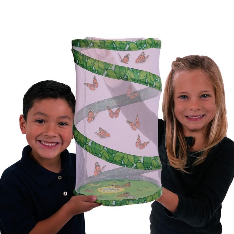 Stem Toys Insect Lore | Giant Butterfly Garden (6 -10 Caterpillars)