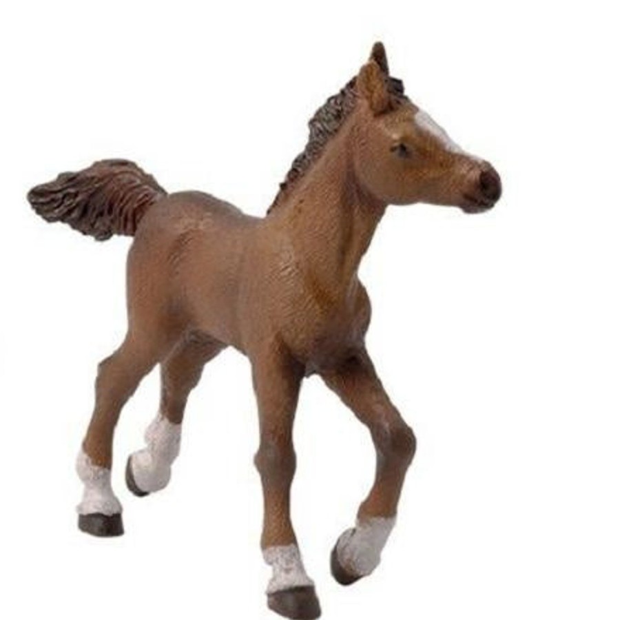 Horse Toys Papo | Papo Anglo-Arab Horse Foal