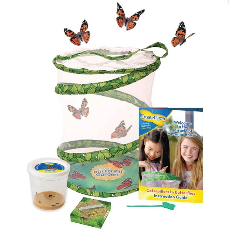 Stem Toys Insect Lore | Butterfly Garden (3 - 5 Caterpillars)